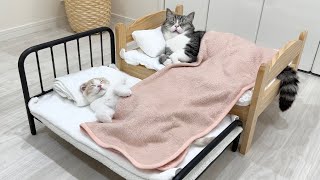 徹夜で仕事してたら猫たちが先にベッドでこうなってました…
