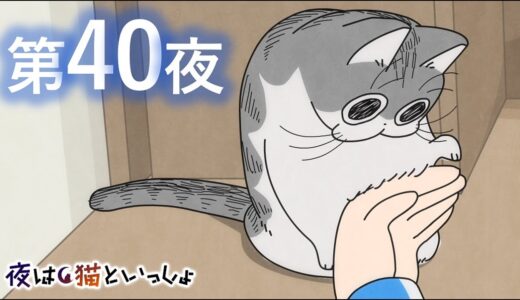 アニメ『夜は猫といっしょ』第40夜「ネコのジャマを阻止したい」