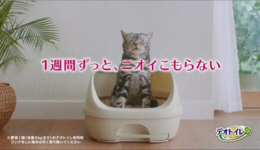 デオトイレ TVCM 「この前替えた猫砂が篇　30秒」