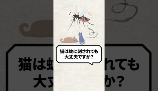 Q：猫って蚊に刺されても大丈夫ですか？