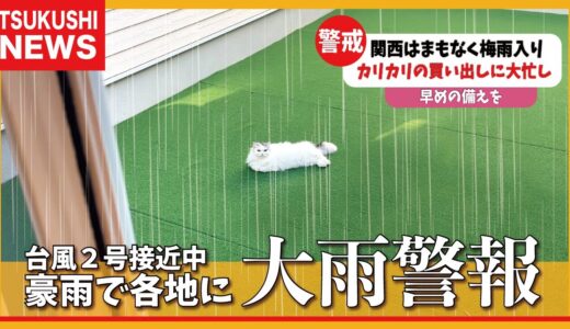 【台風】先日の大雨警報発令時の猫たちの様子がこちら【関西弁でしゃべる猫】