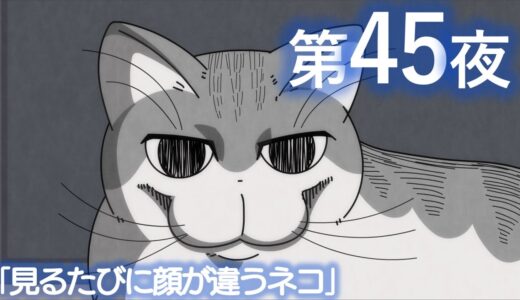 アニメ『夜は猫といっしょ』 第45夜「見るたびに顔が違うネコ」