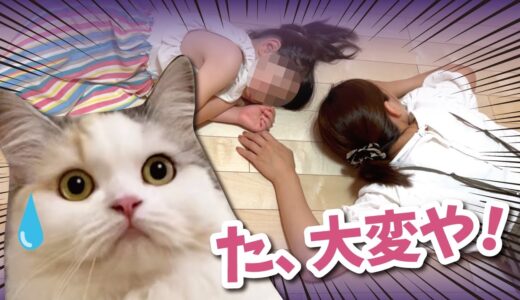 忙しすぎて倒れてしまった主婦と5歳の娘がまさかの展開に…【関西弁でしゃべる猫】