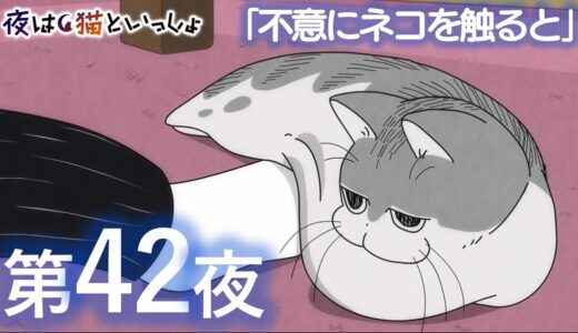 アニメ『夜は猫といっしょ』第42夜「不意にネコを触ると」