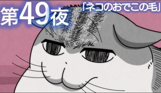 アニメ『夜は猫といっしょ』第49夜「ネコのおでこの毛」