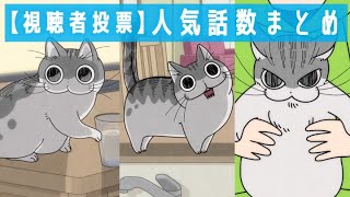 アニメ『夜は猫といっしょ』人気話数まとめ【視聴者投票】