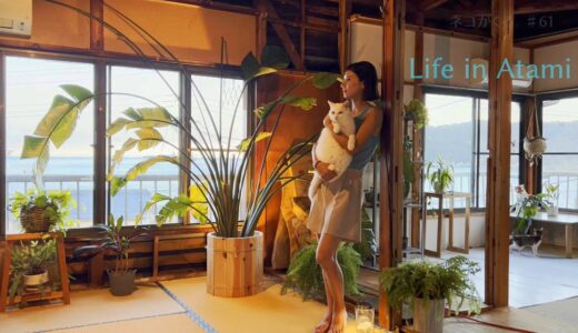 #61 植物とネコまみれの休日🪴｜涼を求めて「水の都」へ｜Life in Atami