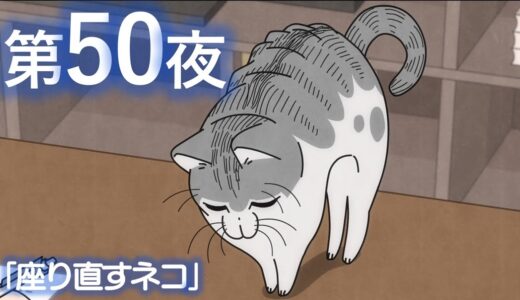 アニメ『夜は猫といっしょ』第50夜「座り直すネコ」