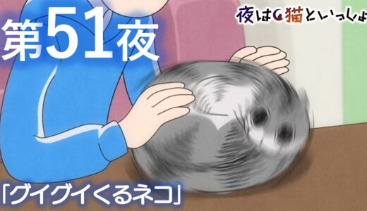 アニメ『夜は猫といっしょ』第51夜「グイグイくるネコ」