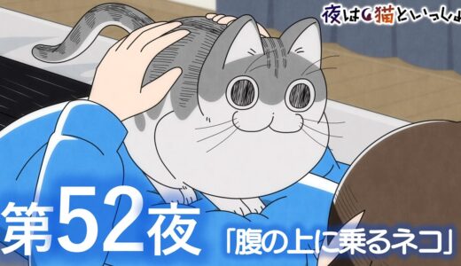アニメ『夜は猫といっしょ』第52夜「腹の上に乗るネコ」