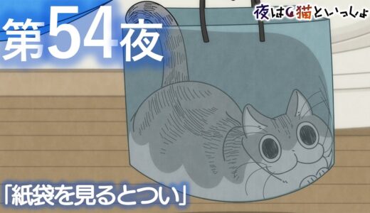 アニメ『夜は猫といっしょ』第54夜「紙袋を見るとつい」