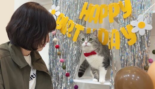 超有名YouTuberが誕生日をお祝いしに来たら大喜びな猫がかわいすぎました笑