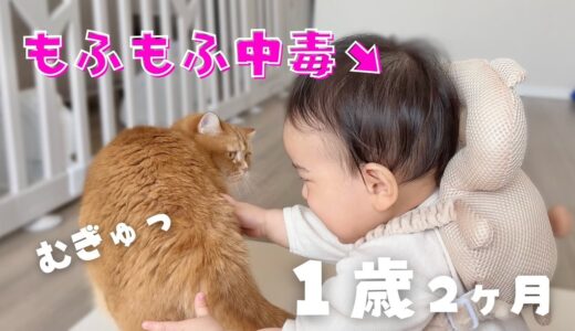 【愛が爆発！】優しく猫を触る赤ちゃんが愛おしすぎました…