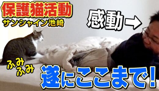 【保護猫活動】寝込んだ池崎さんに新入りネコの佐吉がまさかの行動を取りました【ねこおじさん】