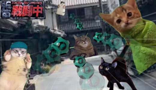 戦闘中をすることになった猫たちの日常Part5【猫ミーム】【猫マニ】